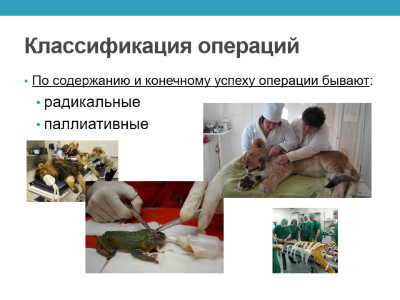 Классификация операций По содержанию и конечному успеху операции бывают: радикальные паллиативные